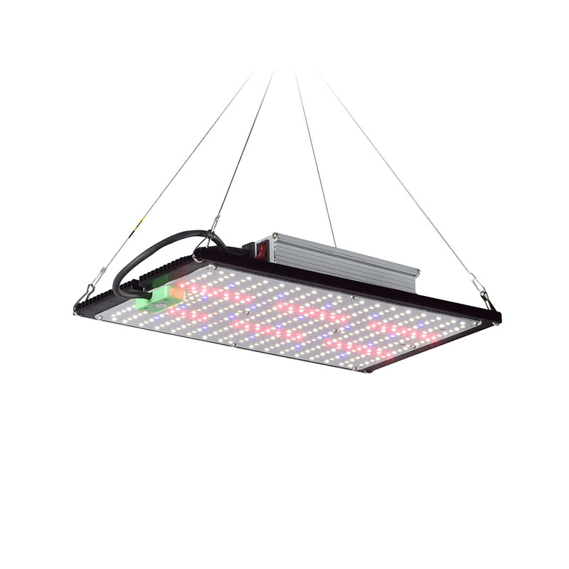 Grow Light Led - ไฟปลูกต้นไม้ LED แบบควอนตัมบอร์ด แบบสเปกตรัมเต็มรูปแบบ สำหรับแขวนเพิ่มแสงสว่างในโรงเรือนปลูกพืชผักและดอกไม้ในร่ม