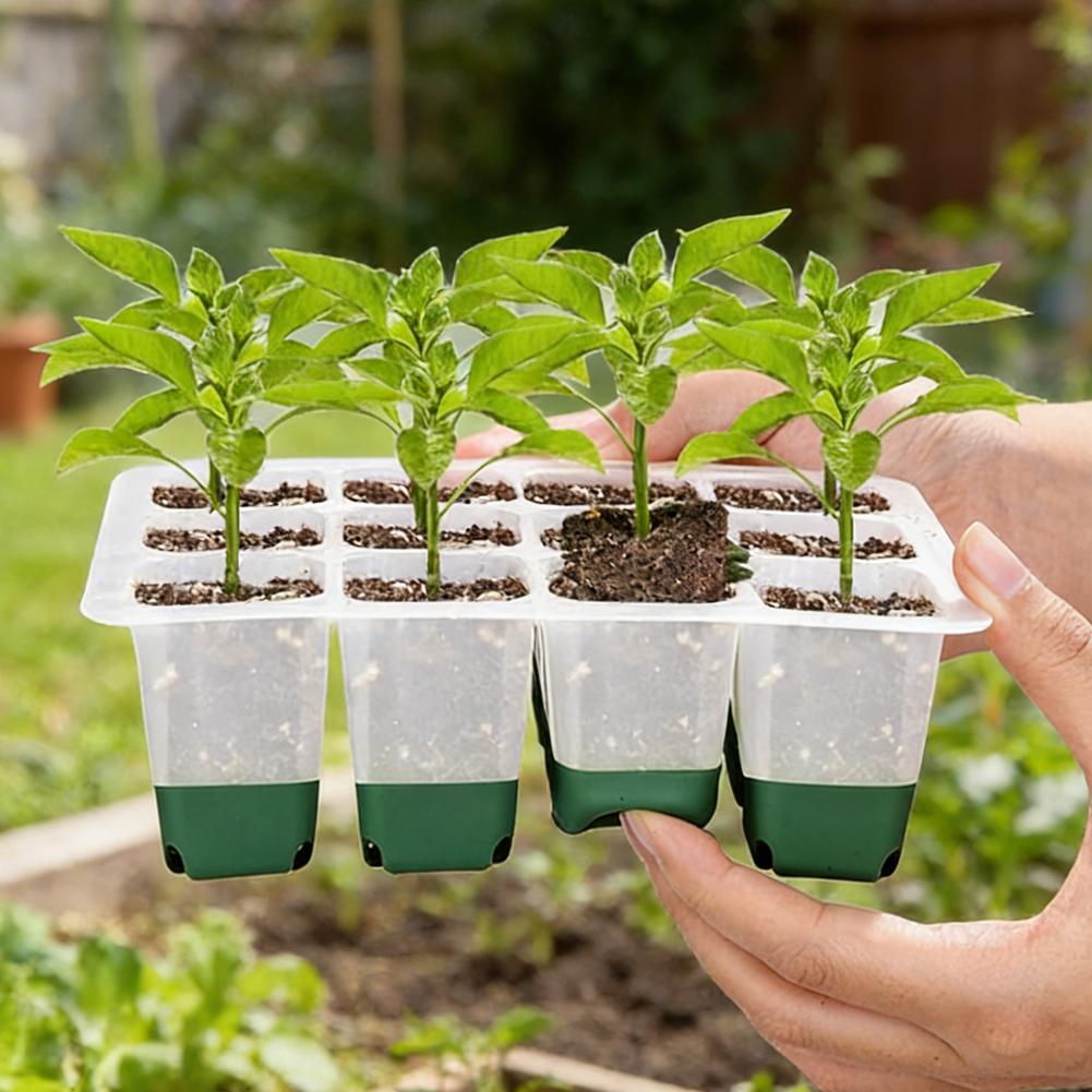 Seed Starter Tray - ถาดเพาะเมล็ดซิลิโคน 12 หลุม ชุดเพาะต้นกล้าแบบใช้ซ้ำได้ สำหรับเรือนกระจกและกระถางเพาะชำในสวน อุปกรณ์เสริม