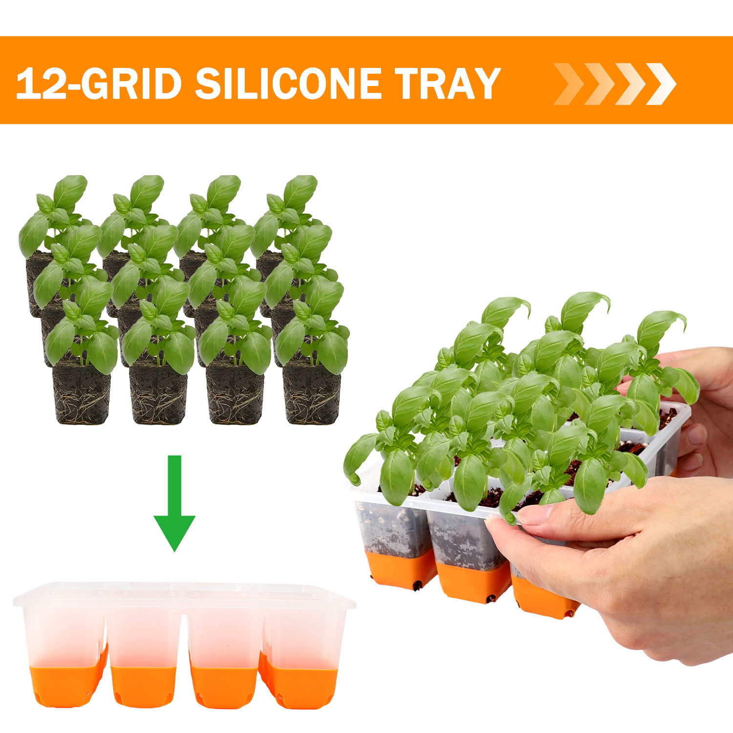Seed Starter Tray - ถาดเพาะเมล็ดสีส้ม 5/10 (รวมถาด 60/120 ช่อง) ถาดเพาะเมล็ด