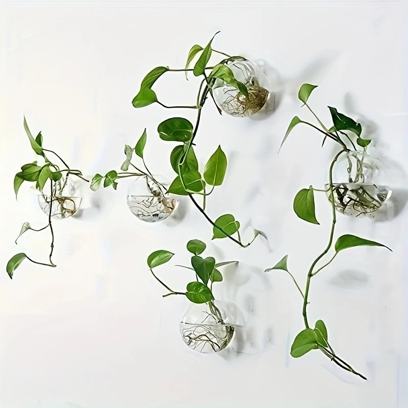 Self Watering Planter - ชุด 2/4/6 ชิ้น ตู้ปลูกต้นไม้แบบแขวนผนัง - กระถางปลูกต้นไม้แบบไฮโดรโพนิกที่รดน้ำอัตโนมัติสำหรับตกแต่งบ้านและสำนักงาน,