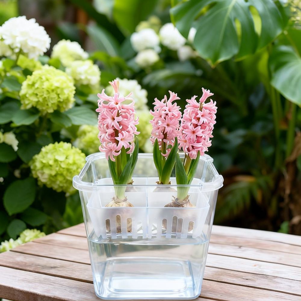 Plant Pot - กระถางไฮโดรโปนิกส์สำหรับปลูกทิวลิปและลิลลี่ กระถางใสพร้อมตะกร้าปลูก ระบายอากาศได้ดี อุปกรณ์ปลูกต้นไม้ในร่มสำหรับสำนักงาน