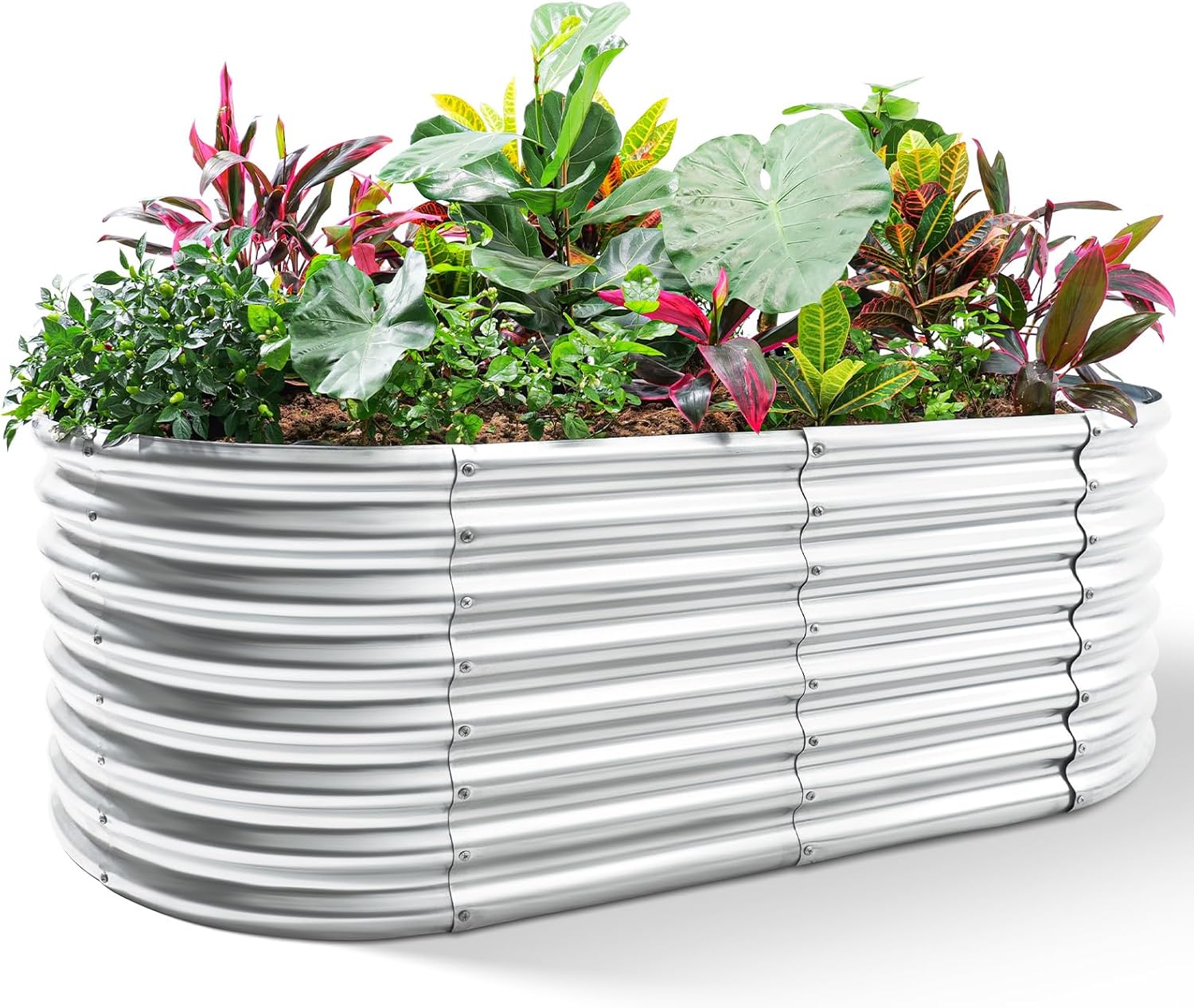 Raised Garden Bed - กระบะปลูกผักยกพื้นแบบชุบสังกะสี ขนาด 8x4x2 ฟุต สำหรับกลางแจ้ง รูปทรงวงรี