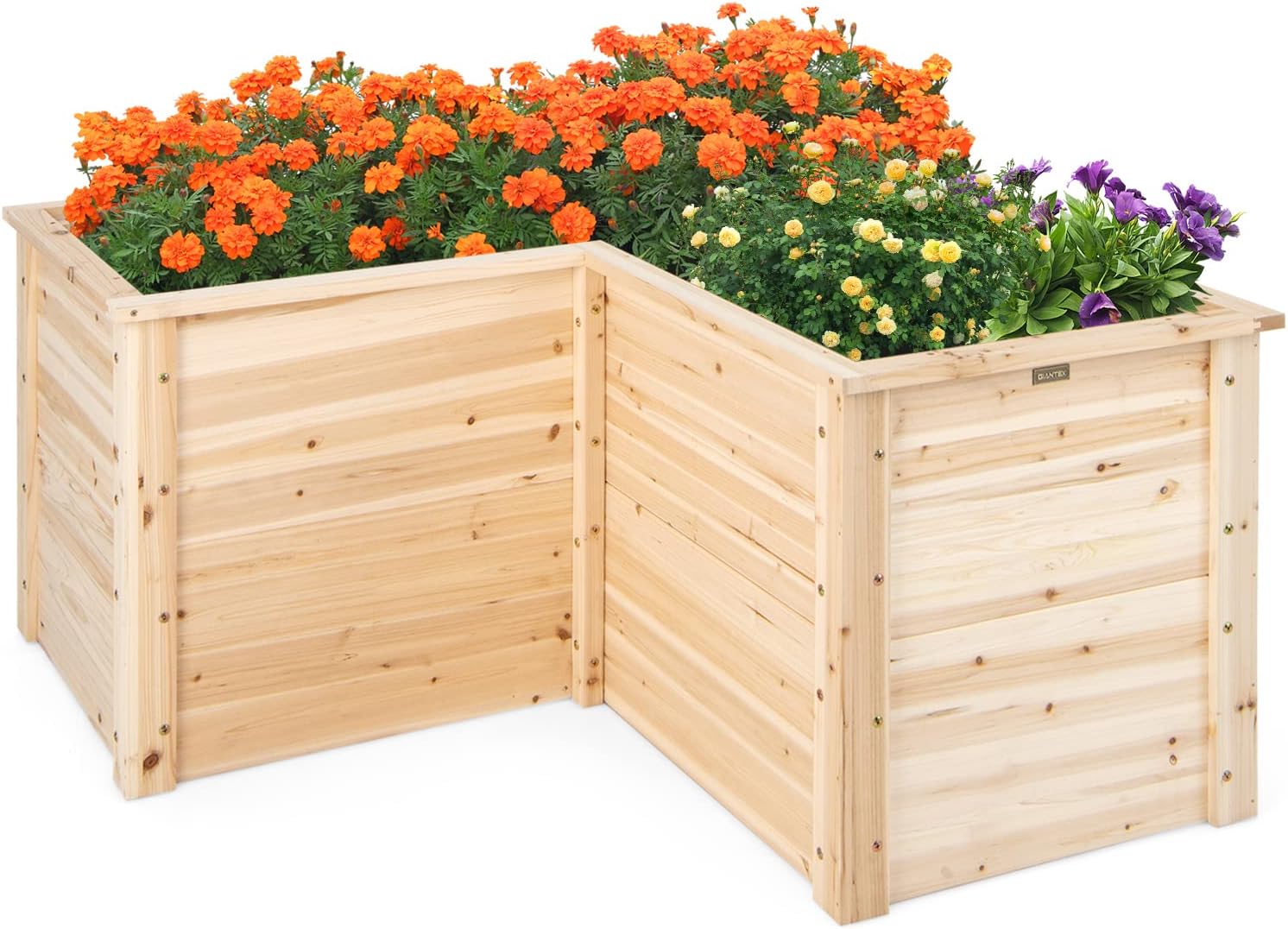 Raised Garden Bed - แปลงปลูกผักยกพื้นทำจากไม้ ขนาด 47.5