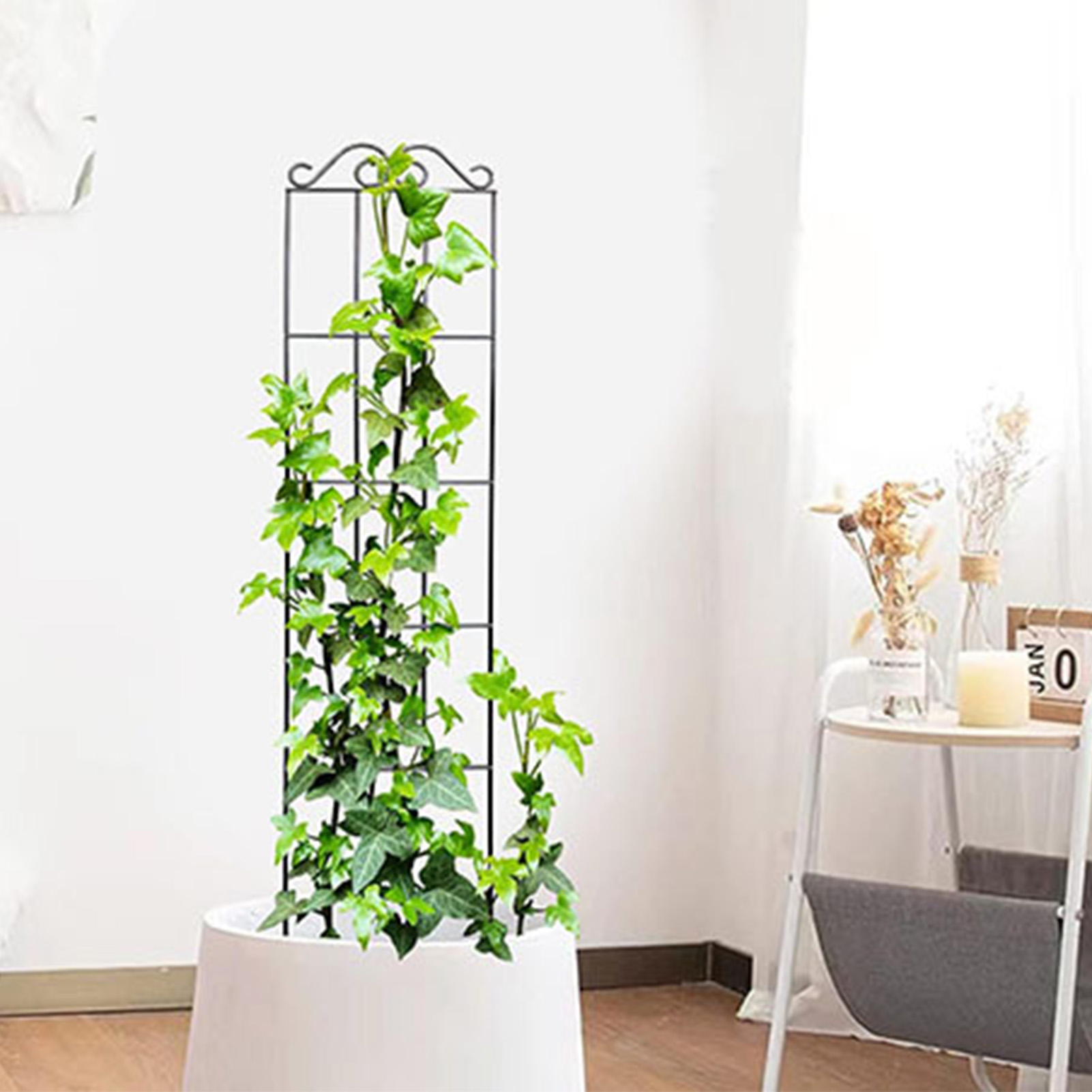 โครงไม้ระแนงในสวนที่ทนทานสำหรั - Indoor Herb Garden บทวิจารณ์และราคา
