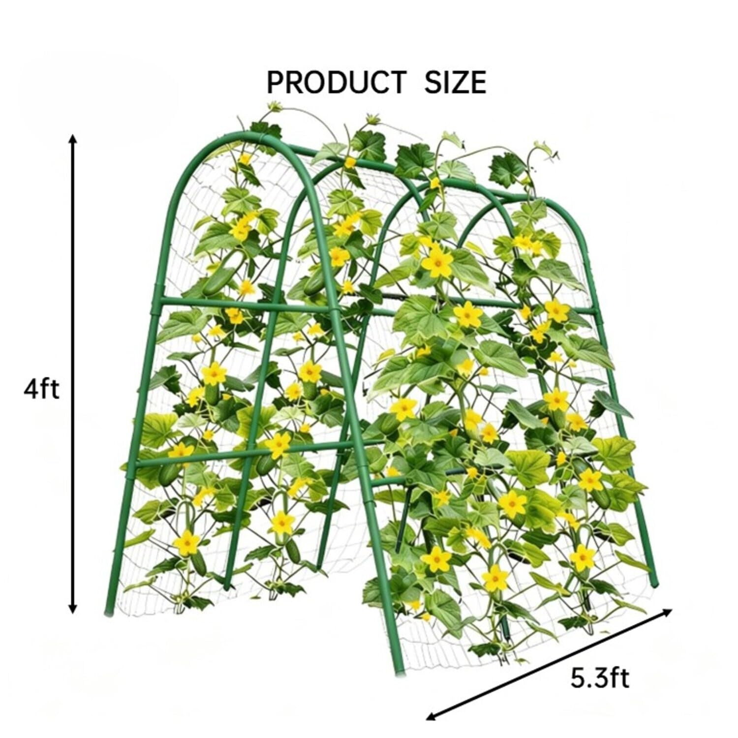 โครงโค้งสำหรับสวนขนาด 4x5.3 ฟุ - Raised Garden Bed บทวิจารณ์และราคา