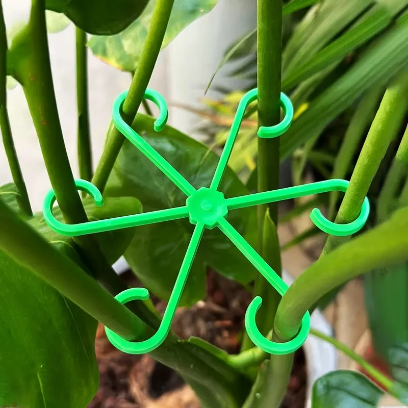 ดอกไม้StemสนับสนุนStakesปีนเขา - Indoor Herb Garden บทวิจารณ์และราคา
