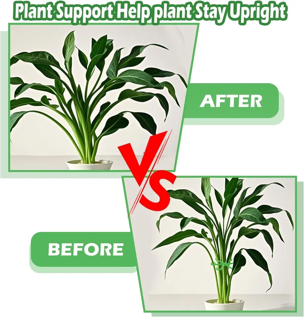 ดอกไม้StemสนับสนุนStakesปีนเขา - Indoor Herb Garden บทวิจารณ์และราคา