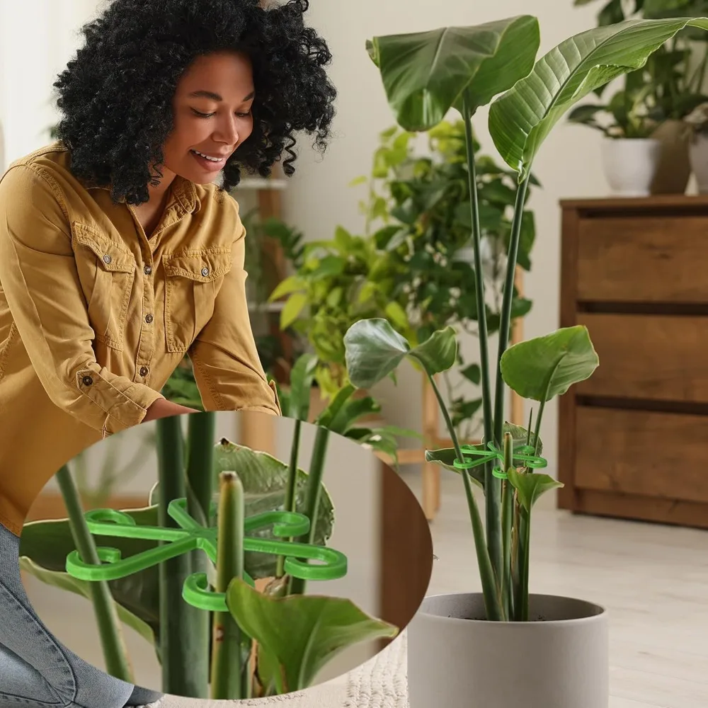 ดอกไม้StemสนับสนุนStakesปีนเขา - Indoor Herb Garden บทวิจารณ์และราคา