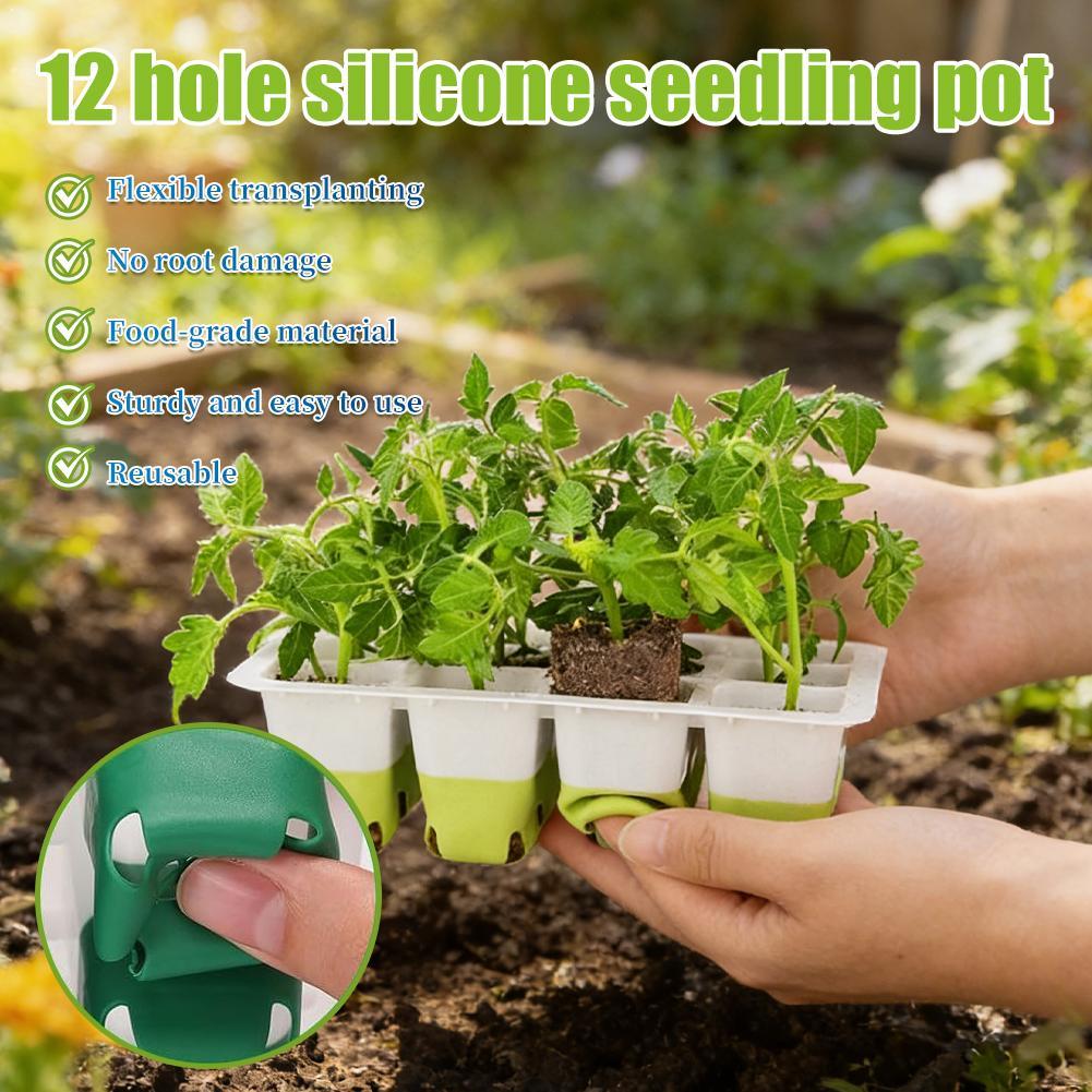 ถาดเพาะเมล็ดซิลิโคน 12 หลุม ชุ - Seed Starter Tray บทวิจารณ์และราคา