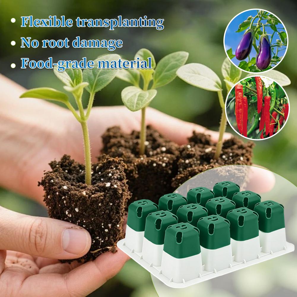 ถาดเพาะเมล็ดซิลิโคน 12 หลุม ชุ - Seed Starter Tray บทวิจารณ์และราคา
