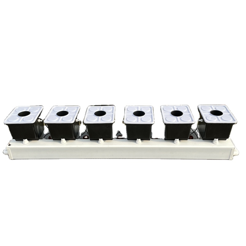 ระบบปลูกพืชแบบไฮโดรโพนิกส์แบบด - Hydroponic Kit บทวิจารณ์และราคา