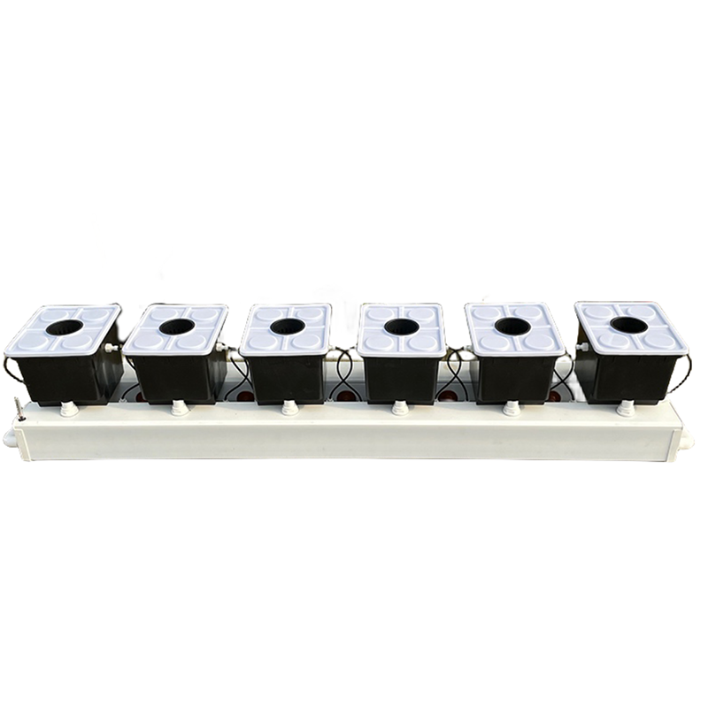 ระบบปลูกพืชแบบไฮโดรโพนิกส์แบบด - Hydroponic Kit บทวิจารณ์และราคา