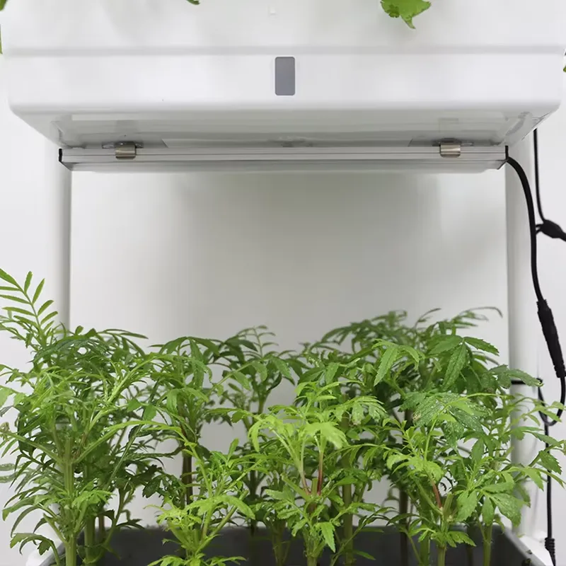 กล่องปลูกต้นไม้แบบเคลื่อนย้ายไ - Self Watering Planter บทวิจารณ์และราคา