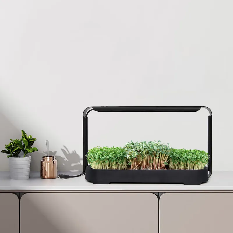 ระบบปลูกผักไมโครกรีนแบบไฮโดรโพ - Hydroponic Kit บทวิจารณ์และราคา