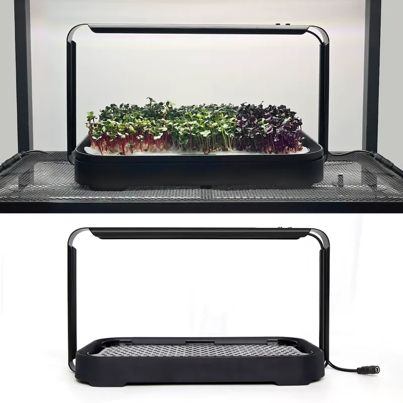 ระบบปลูกผักไมโครกรีนแบบไฮโดรโพ - Hydroponic Kit บทวิจารณ์และราคา