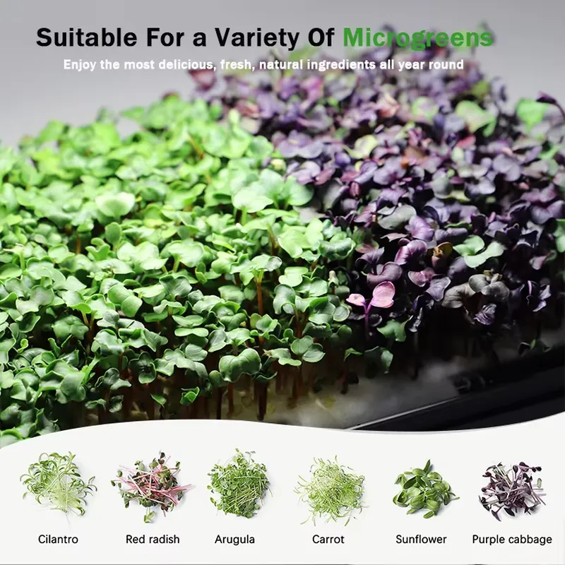 ระบบปลูกผักไมโครกรีนแบบไฮโดรโพ - Hydroponic Kit บทวิจารณ์และราคา