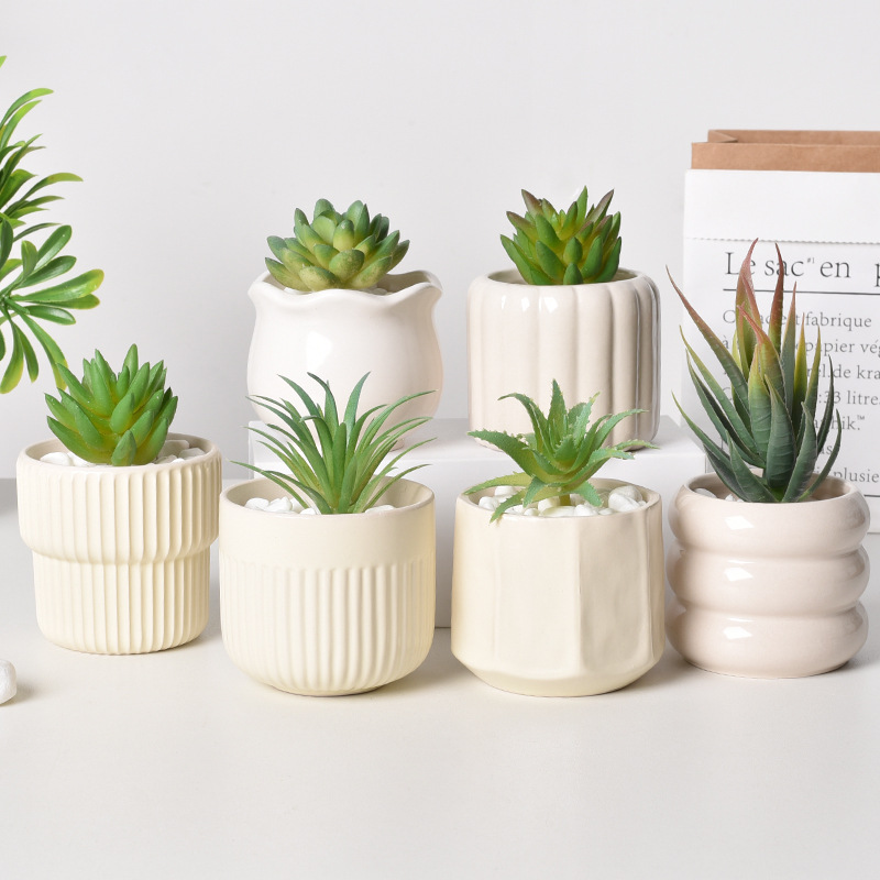 กระถางต้นไม้เซรามิกแบบรดน้ำเอง - Self Watering Planter บทวิจารณ์และราคา