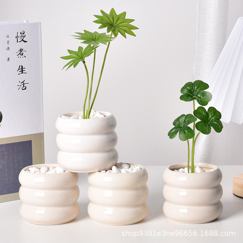 กระถางต้นไม้เซรามิกแบบรดน้ำเอง - Self Watering Planter บทวิจารณ์และราคา