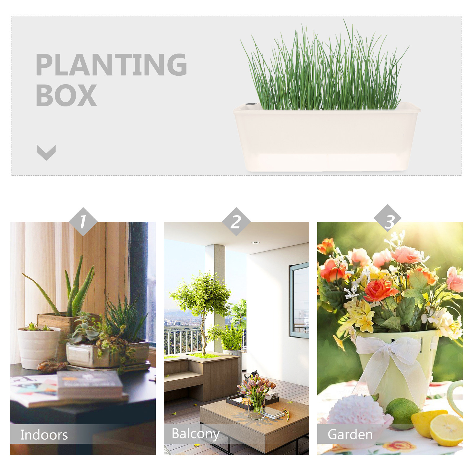 กระถางปลูกทรงสี่เหลี่ยมผืนผ้า  - Self Watering Planter บทวิจารณ์และราคา