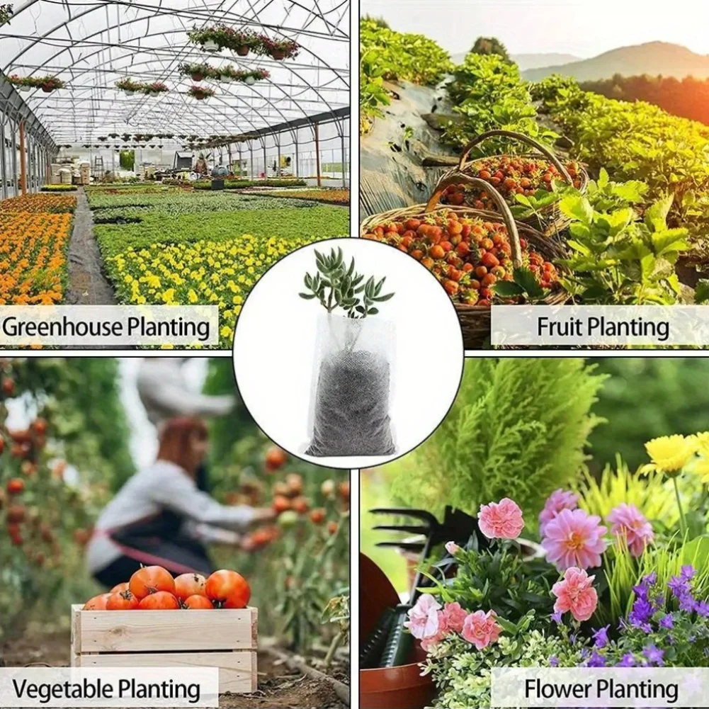 100 ชิ้นย่อยสลายได้เมล็ดเนอสเซ - Seed Starter Tray บทวิจารณ์และราคา