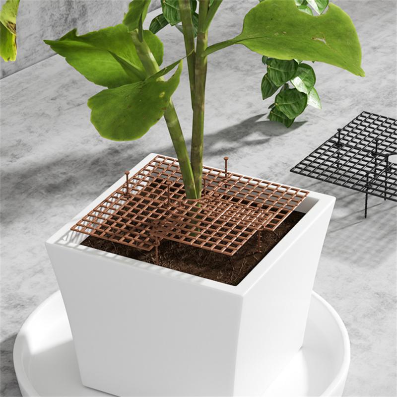 ฝาครอบกระถางต้นไม้ ตะแกรงป้องก - Indoor Herb Garden บทวิจารณ์และราคา