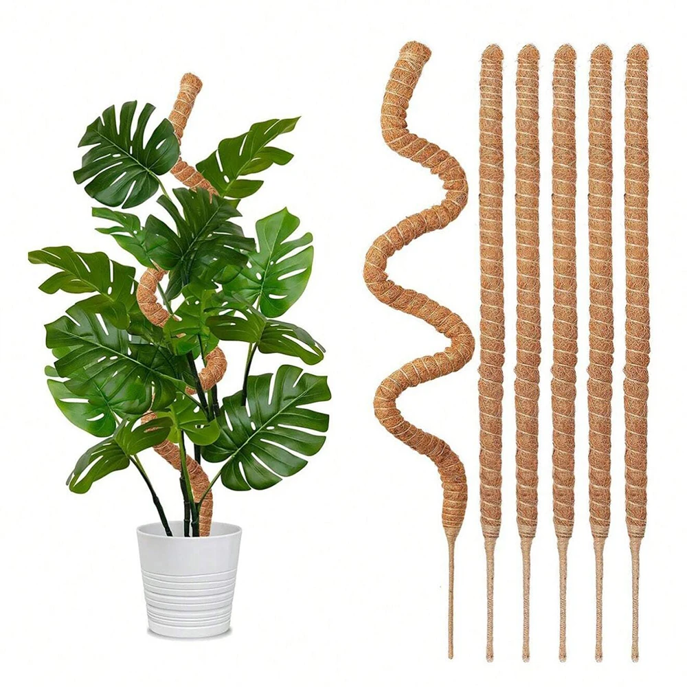 เสาไม้สนับสนุนต้นมอนสเตอร่า สำ - Indoor Herb Garden บทวิจารณ์และราคา
