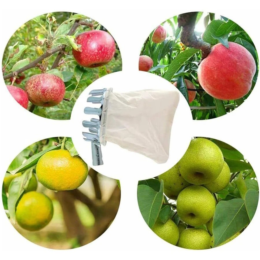 ชุดเครื่องมือเก็บผลไม้ 3-in-1  - Grow Bag บทวิจารณ์และราคา