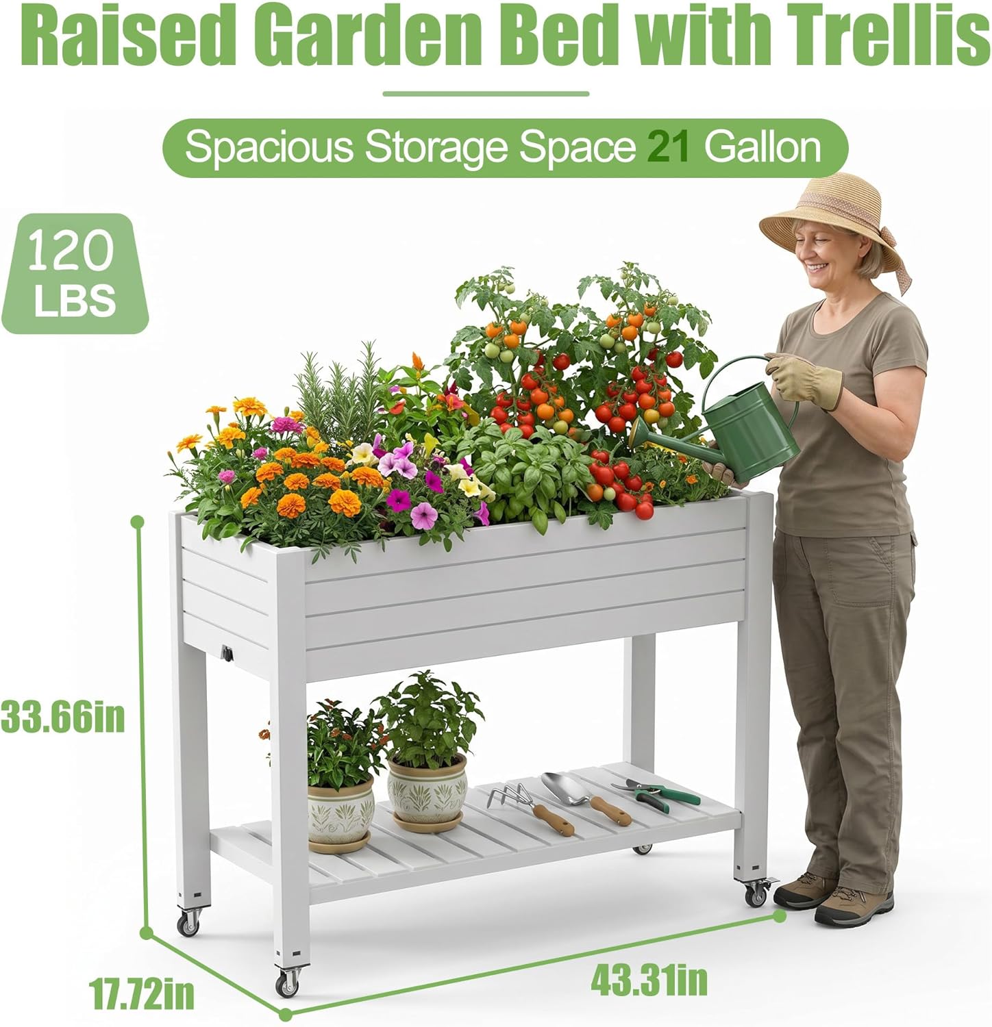 แปลงปลูกผักยกพื้นกลางแจ้ง พร้อ - Raised Garden Bed บทวิจารณ์และราคา