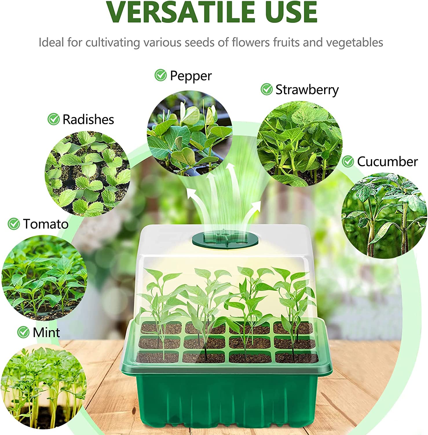 หลอดไฟฟิตโอลัมพ์แบบสเปกตรัมเต็ - Seed Starter Tray บทวิจารณ์และราคา