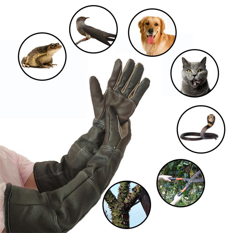 ถุงมือหนังวัวป้องกันการกัดป้อง - Garden Gloves บทวิจารณ์และราคา