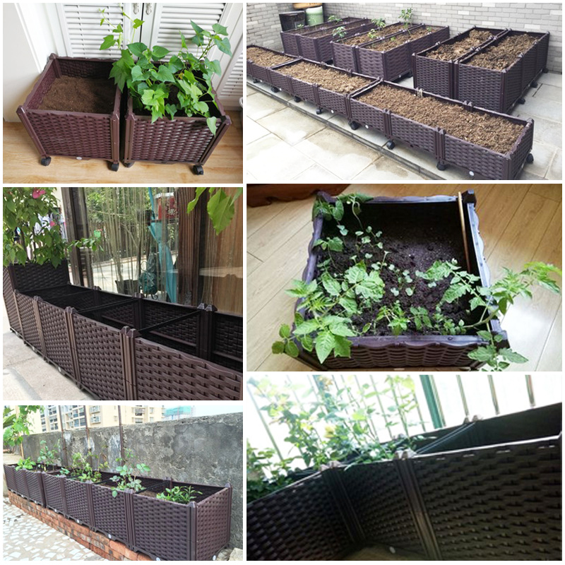 กระถางปลูกแบบยกสูงพร้อมระบบให้ - Self Watering Planter บทวิจารณ์และราคา