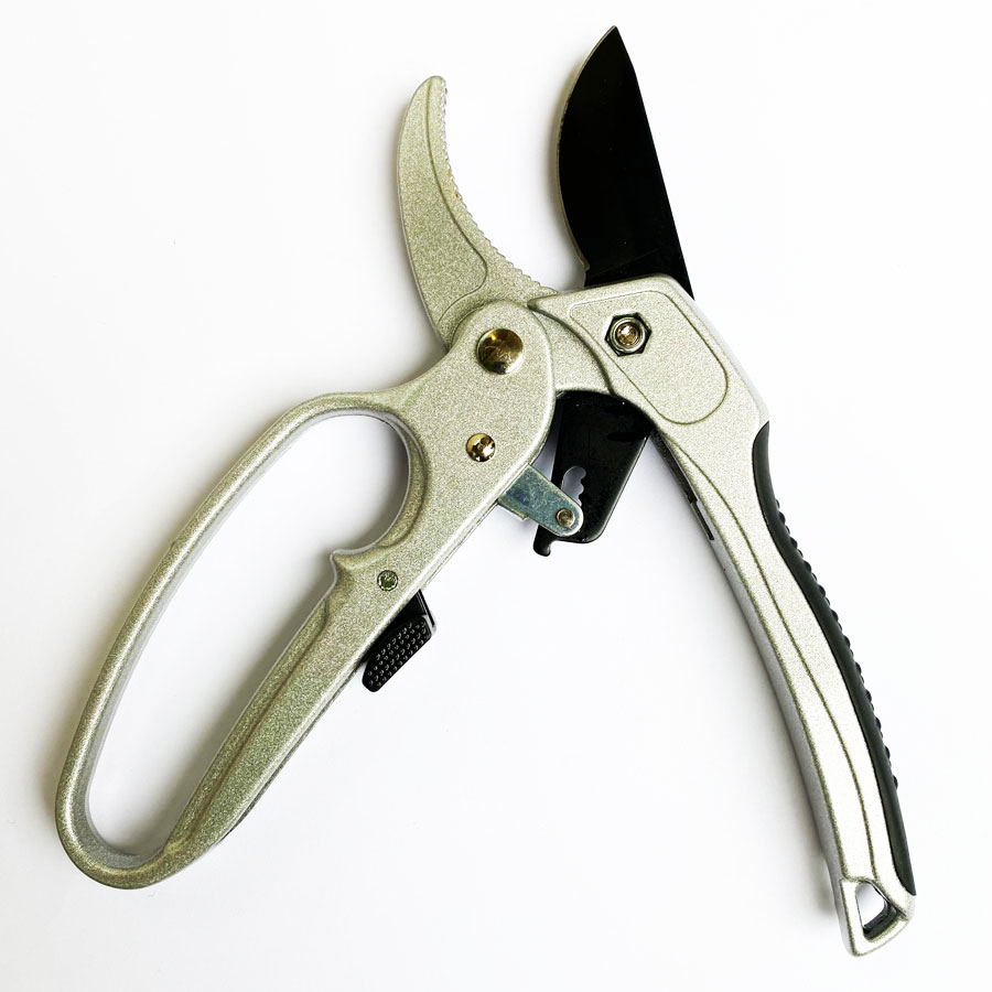 กรรไกรตัดแต่งกิ่งแบบมืออาชีพแล - Pruning Shears บทวิจารณ์และราคา