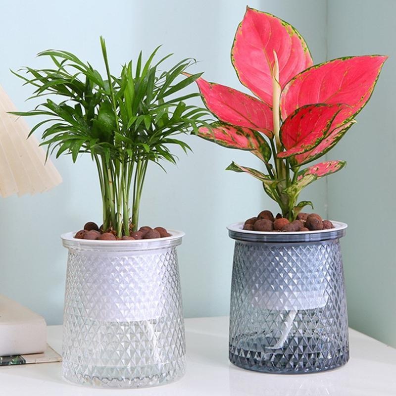 2024โปร่งใสรดน้ําด้วยตนเองดอกไ - Self Watering Planter บทวิจารณ์และราคา