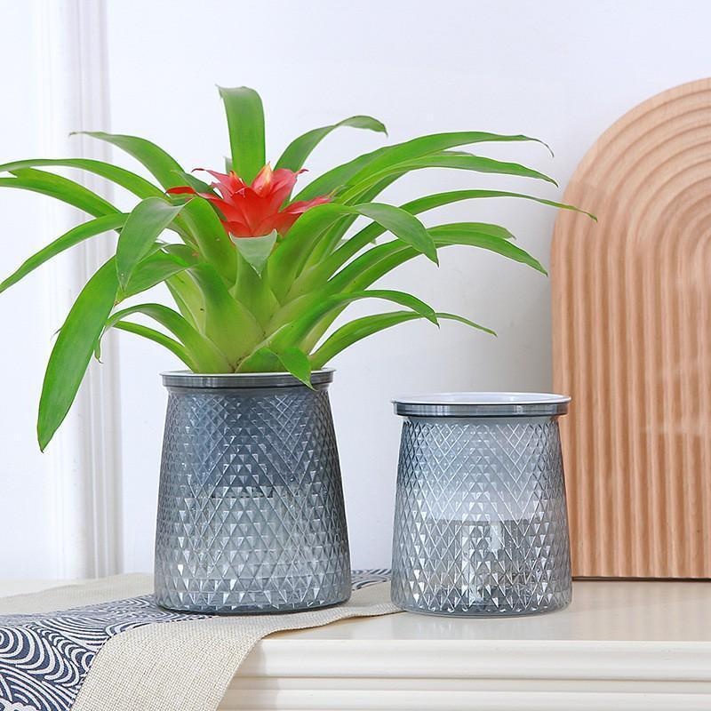2024โปร่งใสรดน้ําด้วยตนเองดอกไ - Self Watering Planter บทวิจารณ์และราคา