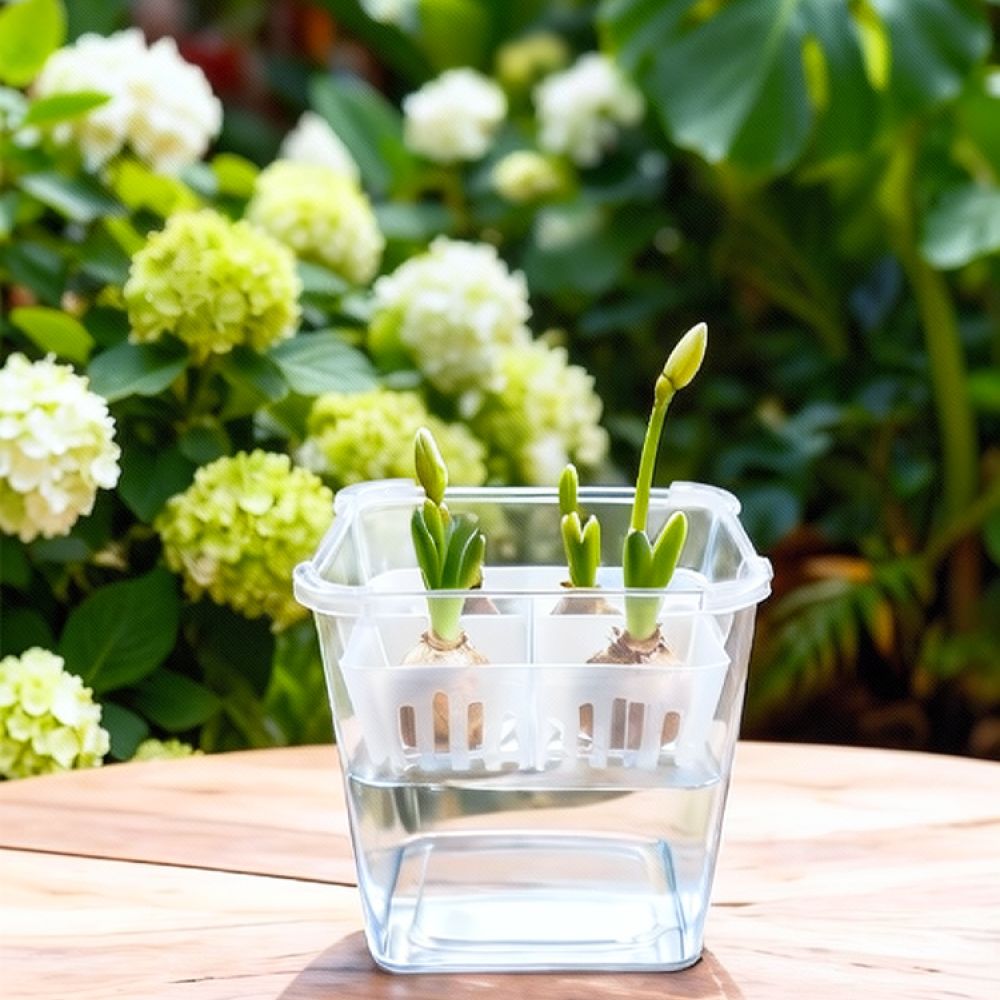 กระถางไฮโดรโปนิกส์สำหรับปลูกทิ - Plant Pot บทวิจารณ์และราคา