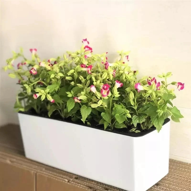 กระถางดอกไม้ทรงสี่เหลี่ยมผืนผ้ - Self Watering Planter บทวิจารณ์และราคา