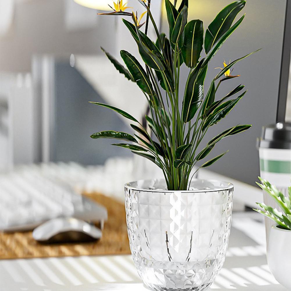 กระถางดอกไม้แบบโปร่งใสพร้อมระบ - Self Watering Planter บทวิจารณ์และราคา