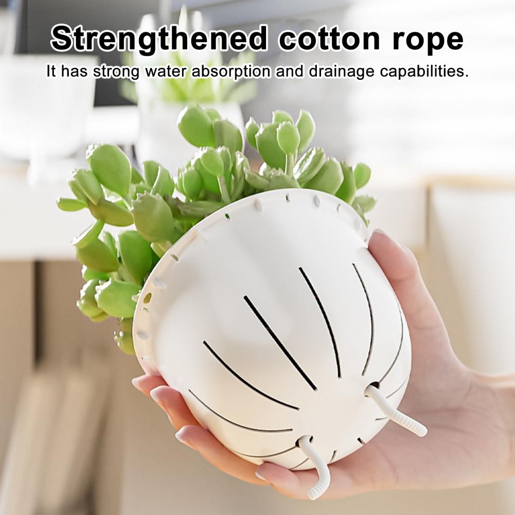 กระถางดอกไม้แบบโปร่งใสพร้อมระบ - Self Watering Planter บทวิจารณ์และราคา
