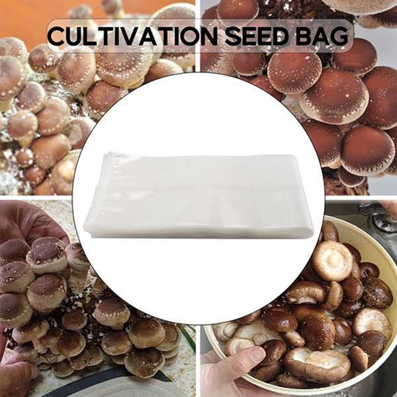 ถุงเพาะเห็ด 50 ใบ/ถุงเพาะเห็ด/ - Grow Bag บทวิจารณ์และราคา