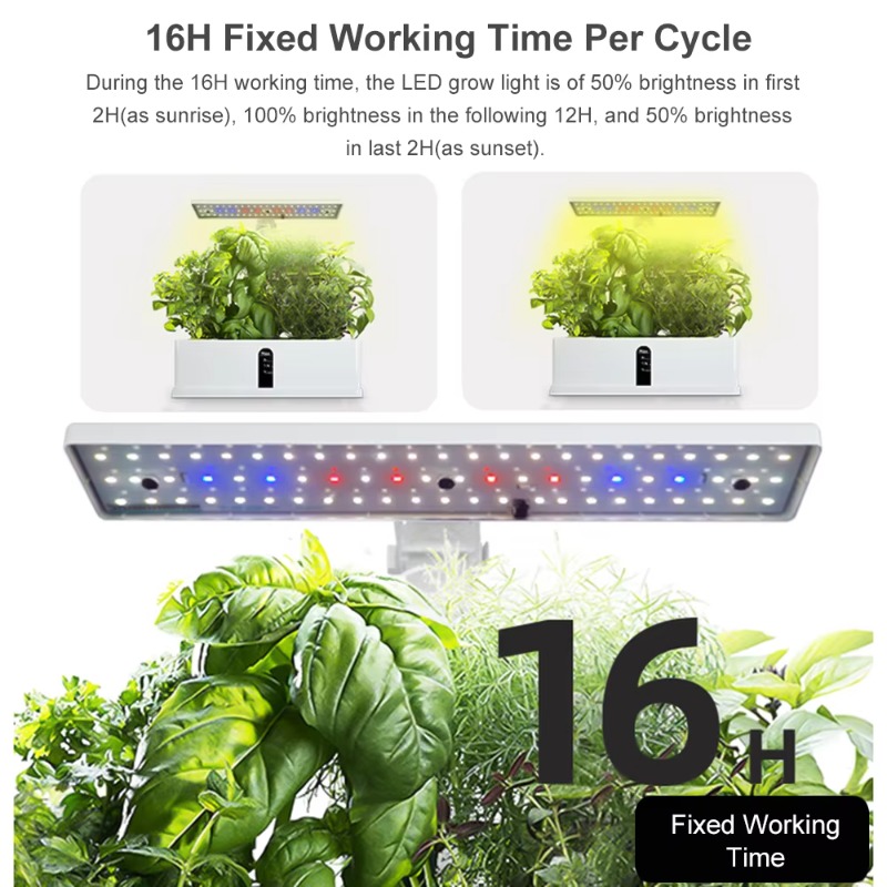 ระบบปลูกพืชไฮโดรโพนิกส์อัจฉริย - Hydroponic Kit บทวิจารณ์และราคา