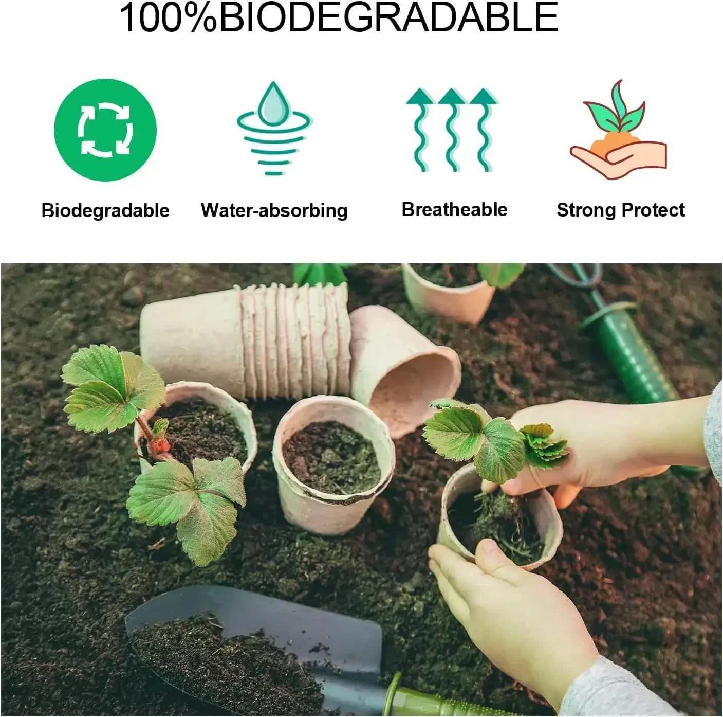 กระถางเพาะชำทรงกลมขนาด 8 ซม. ส - Seed Starter Tray บทวิจารณ์และราคา