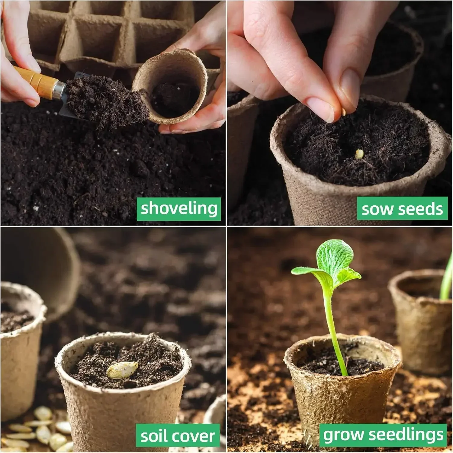 กระถางเพาะชำทรงกลมขนาด 8 ซม. ส - Seed Starter Tray บทวิจารณ์และราคา