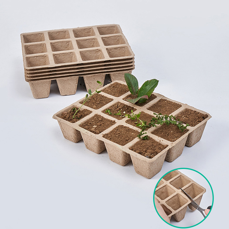 5ชิ้นถาดปลูกต้นไม้12หลุมย่อยสล - Seed Starter Tray บทวิจารณ์และราคา