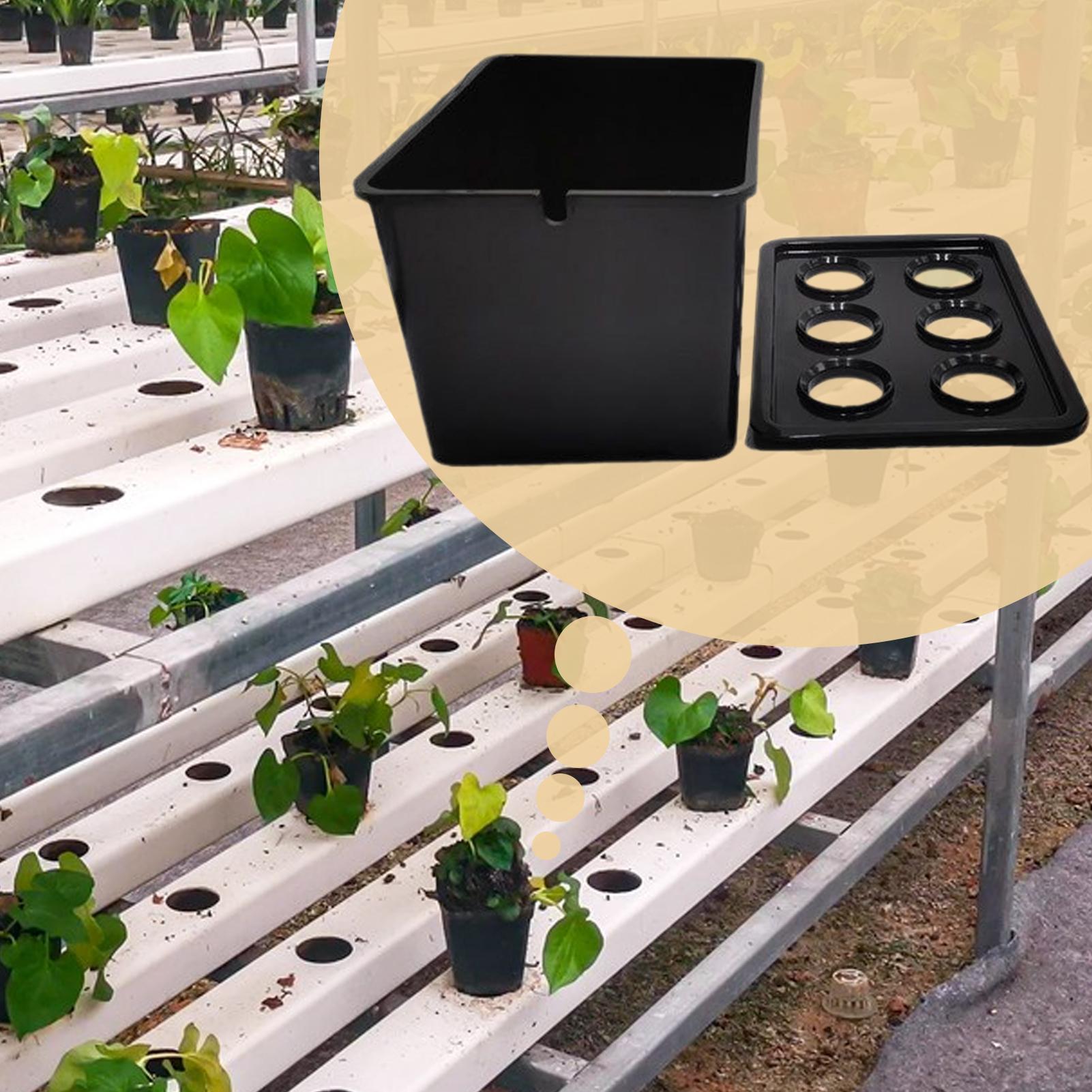 ชุดปลูกพืชไฮโดรโปนิกส์สำหรับผู - Hydroponic Kit บทวิจารณ์และราคา