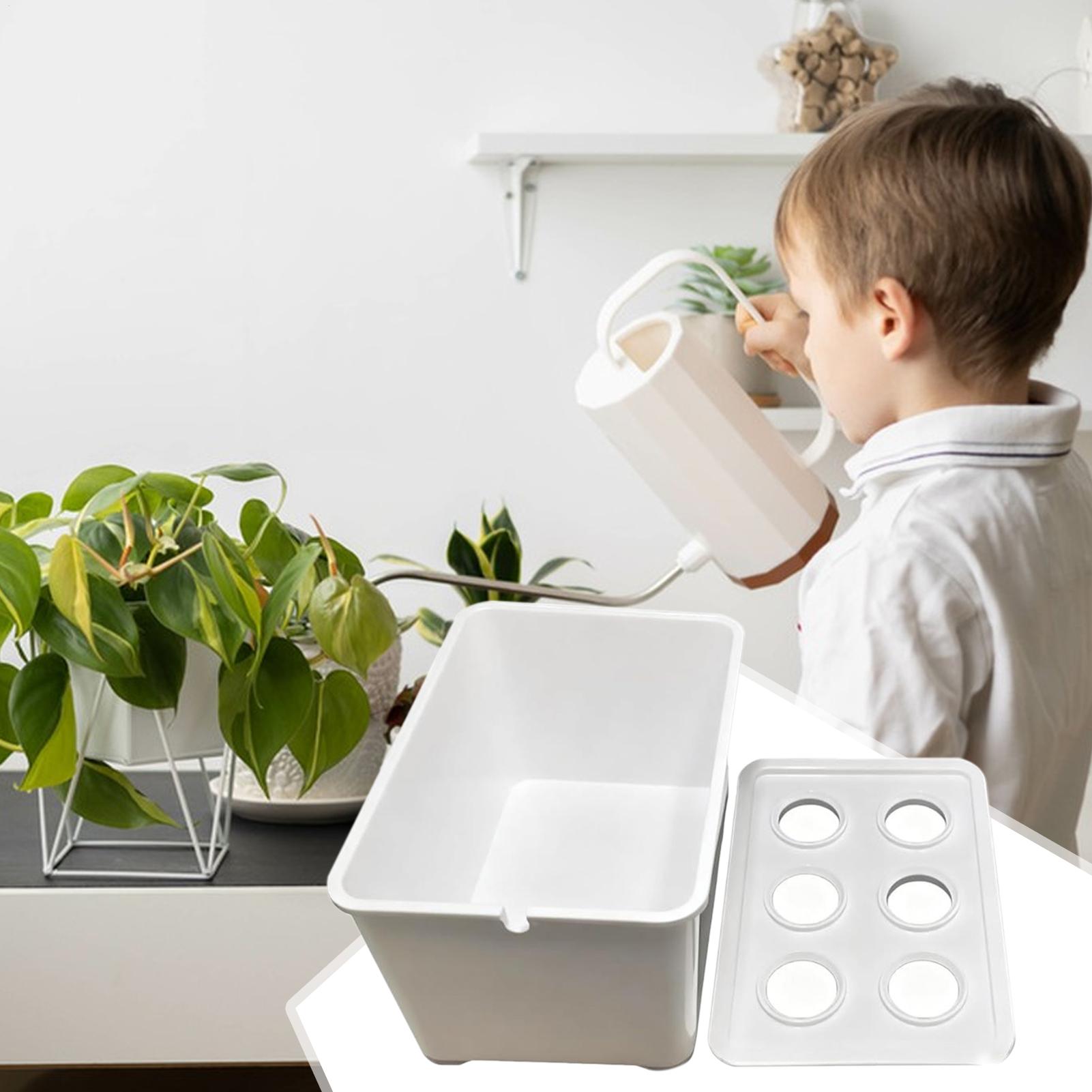ชุดปลูกพืชไฮโดรโปนิกส์สำหรับผู - Hydroponic Kit บทวิจารณ์และราคา