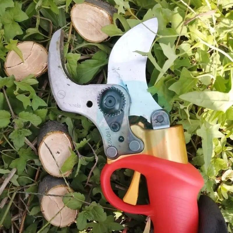 กรรไกรตัดแต่งกิ่งแบบใช้แบตเตอร - Pruning Shears บทวิจารณ์และราคา