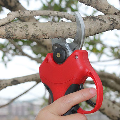 กรรไกรตัดแต่งสวนคุณภาพสูง ด้าม - Pruning Shears บทวิจารณ์และราคา