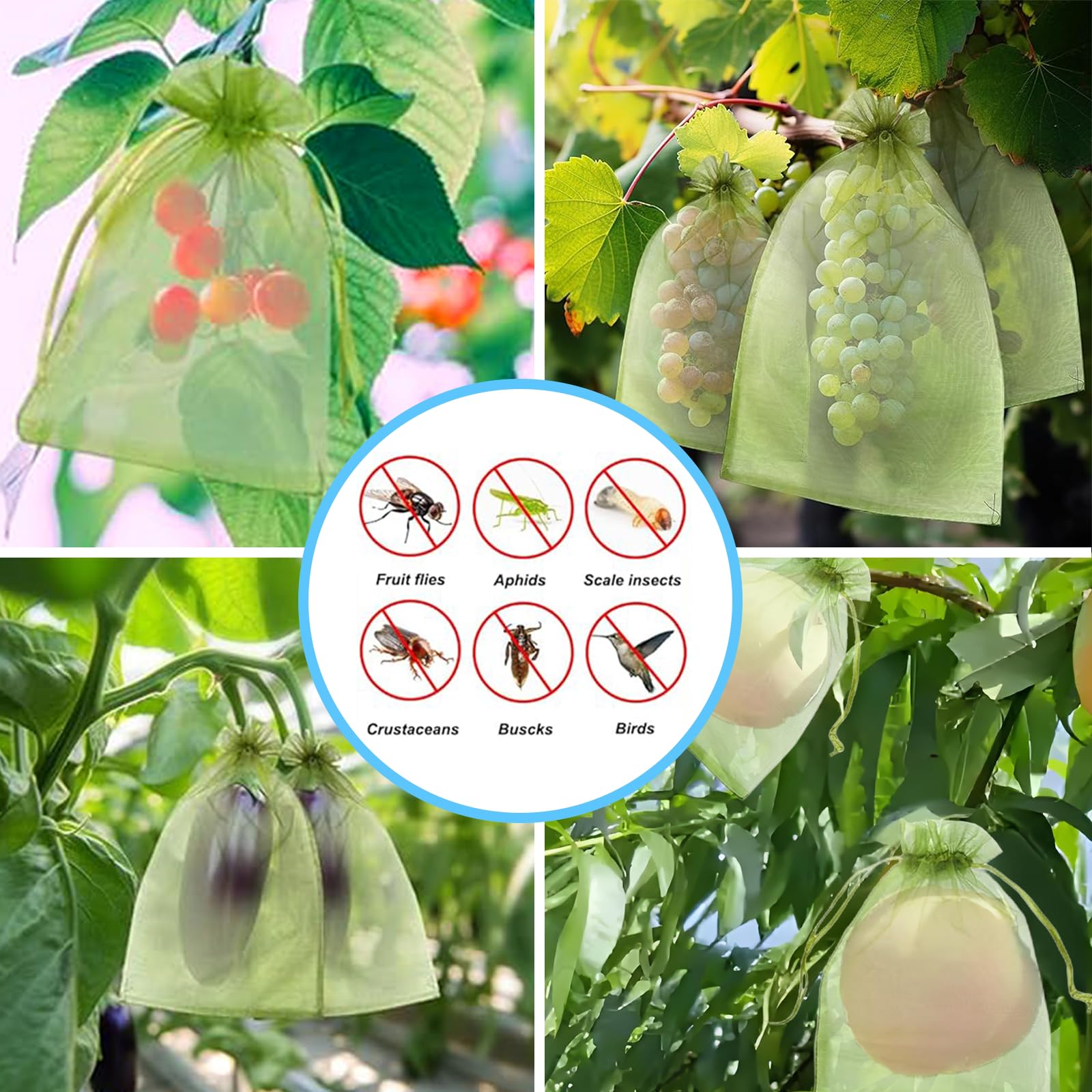 ตาข่ายป้องกันนกอย่างมีประสิทธิ - Grow Bag บทวิจารณ์และราคา