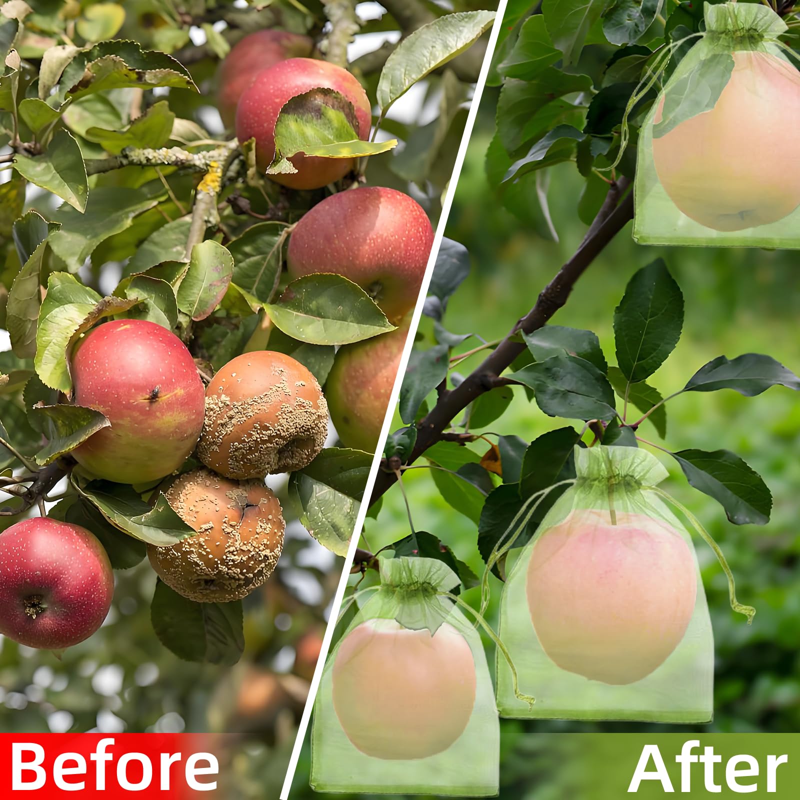 ตาข่ายป้องกันนกอย่างมีประสิทธิ - Grow Bag บทวิจารณ์และราคา