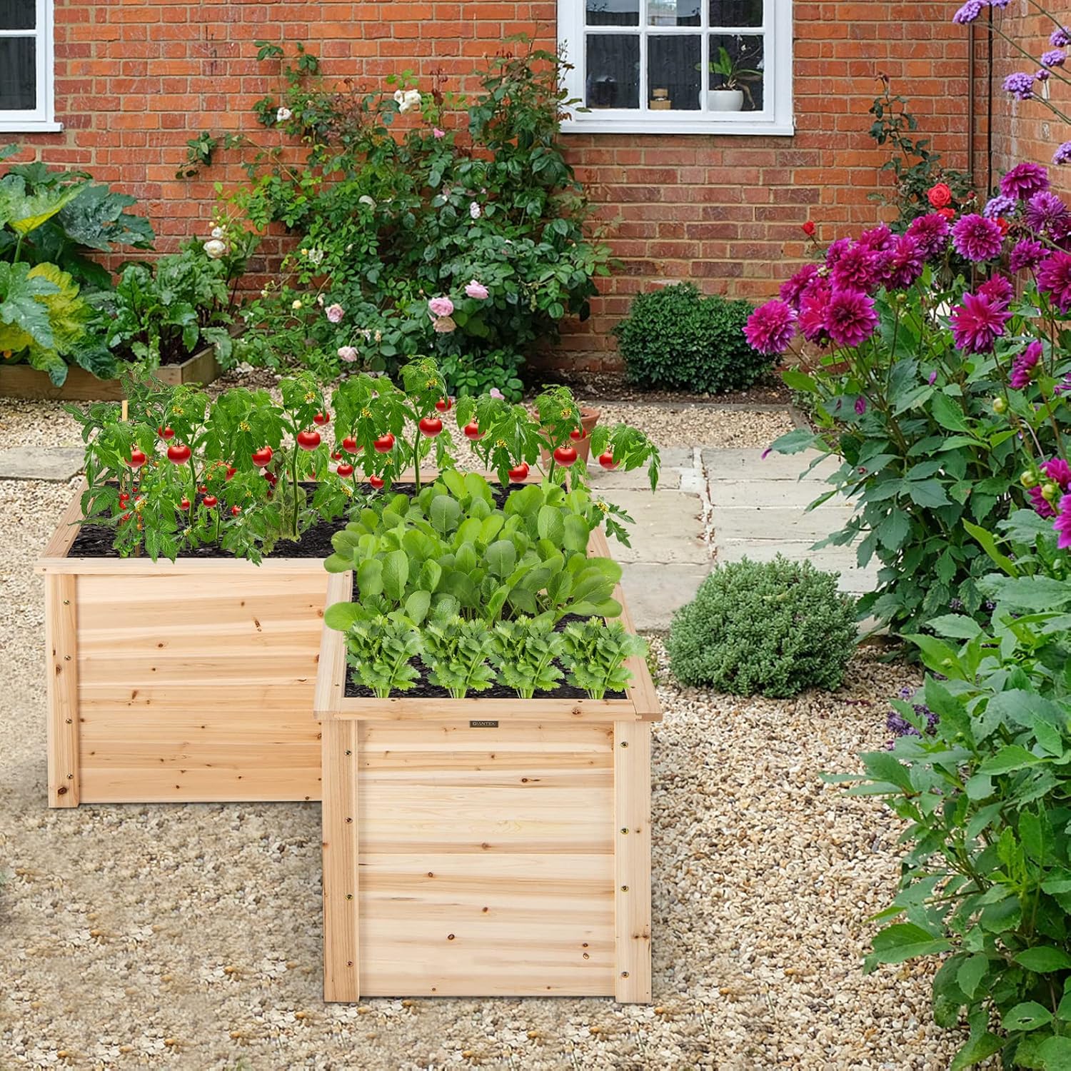 แปลงปลูกผักยกพื้นทำจากไม้ ขนาด - Raised Garden Bed บทวิจารณ์และราคา
